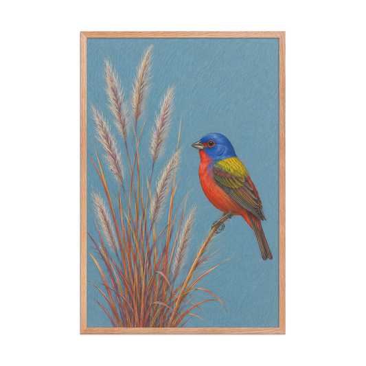 Framed Painted Bunting colored pencil illustration in prairie grass, dusty blue background, wood frame wall art