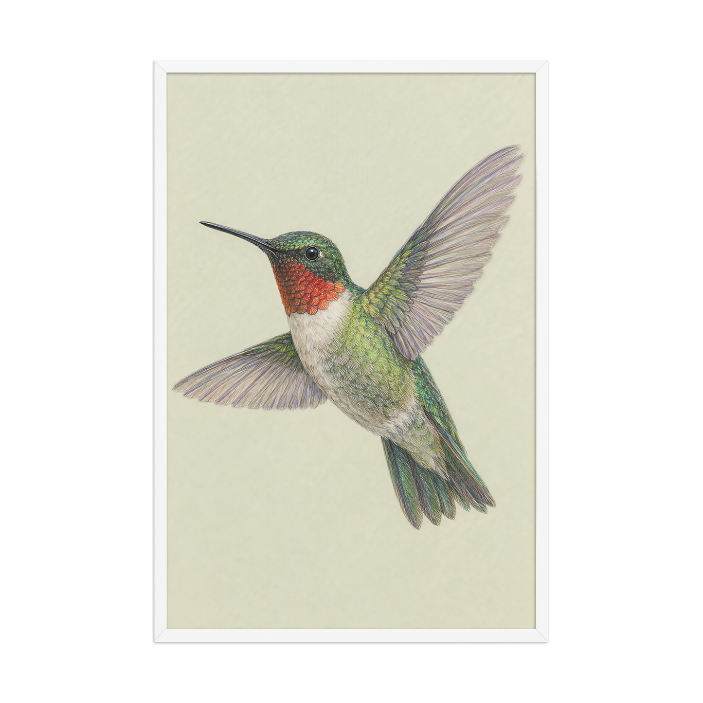 Framed Ruby-throated hummingbird colored pencil illustration print on sage green pastel background, wood frame wall art