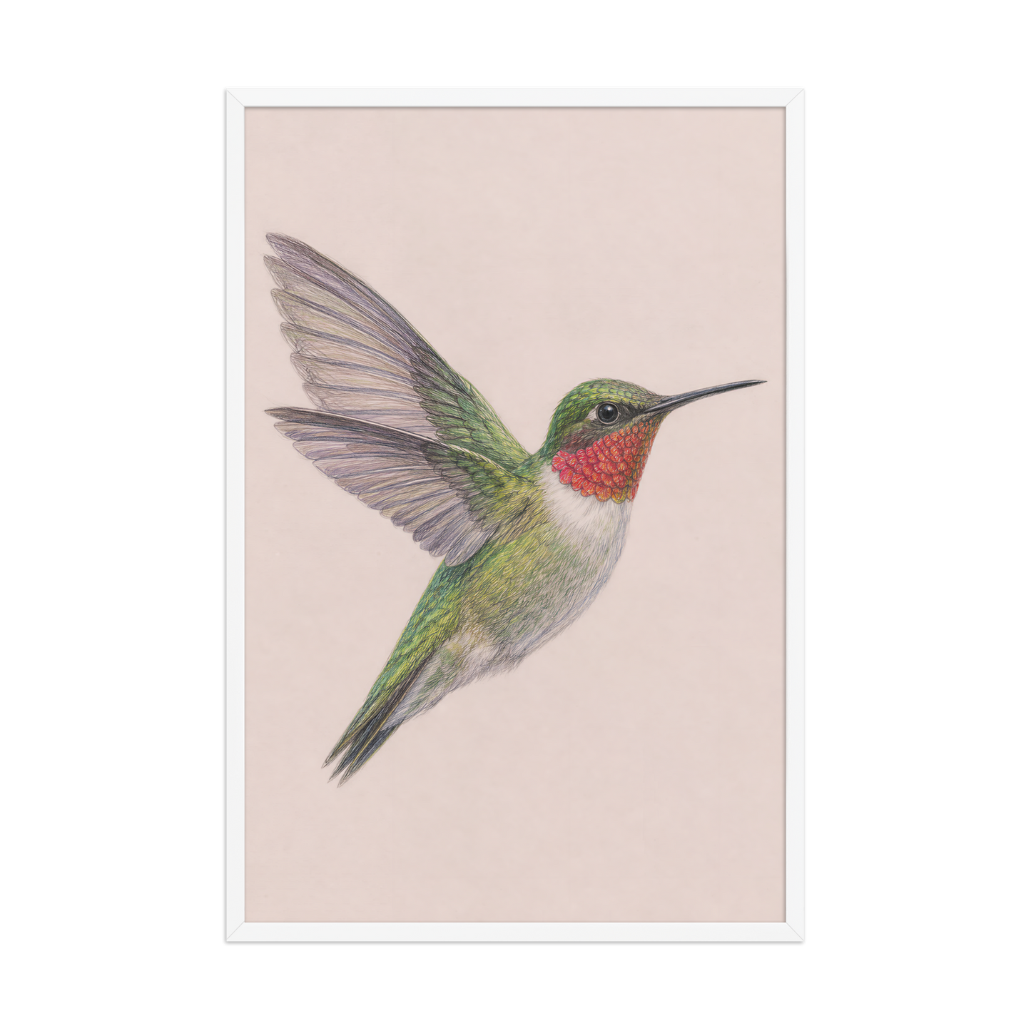 Framed Ruby-throated hummingbird colored pencil illustration print on dusty rose pastel background, wood frame wall art