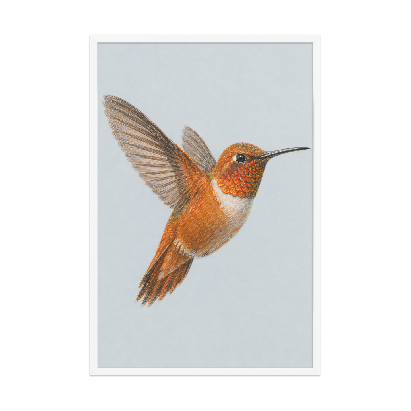 Framed Rufous hummingbird colored pencil illustration print on dusty blue pastel background, wood frame wall art