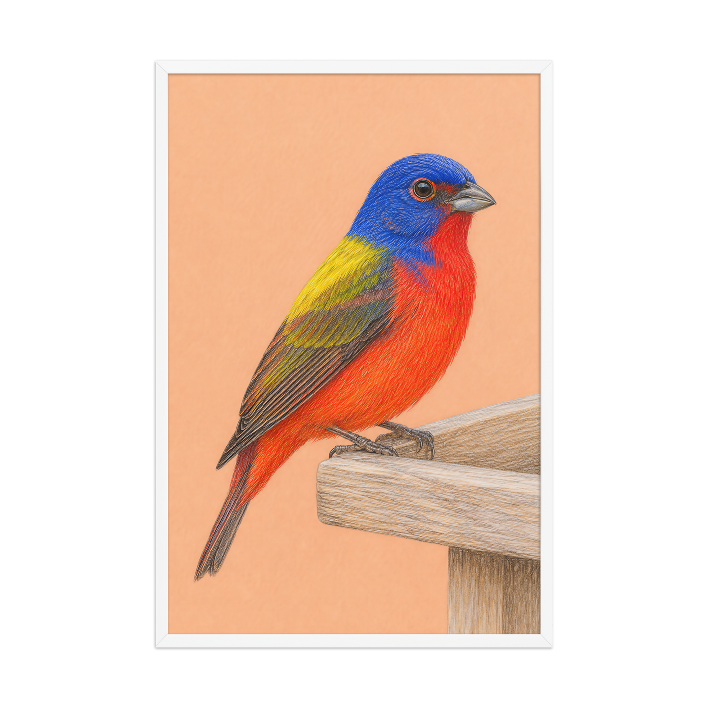 Framed Painted Bunting colored pencil illustration on wooden feeder, apricot background, wood frame wall art