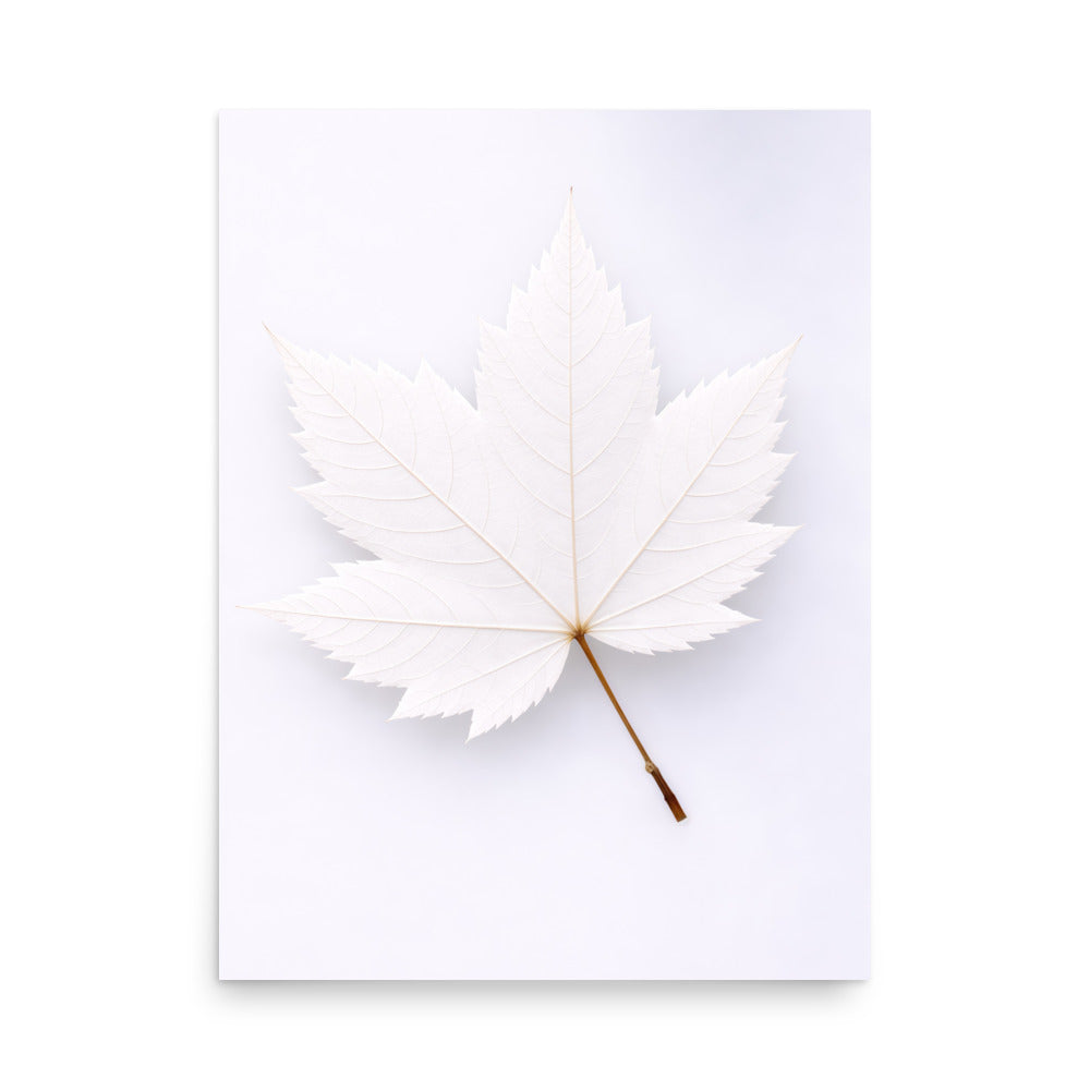 Minimalist wall poster featuring single white leaf on light background, neutral home decor