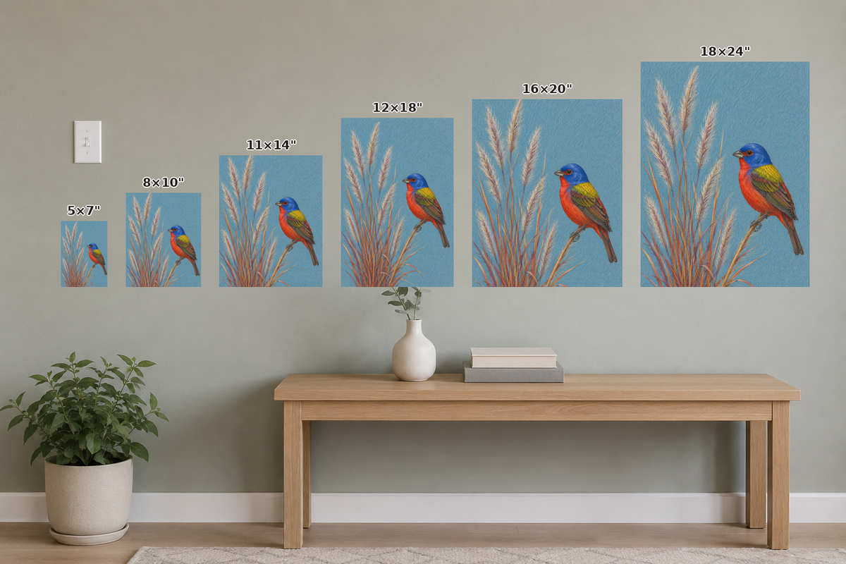 Unframed Fine Art Prin