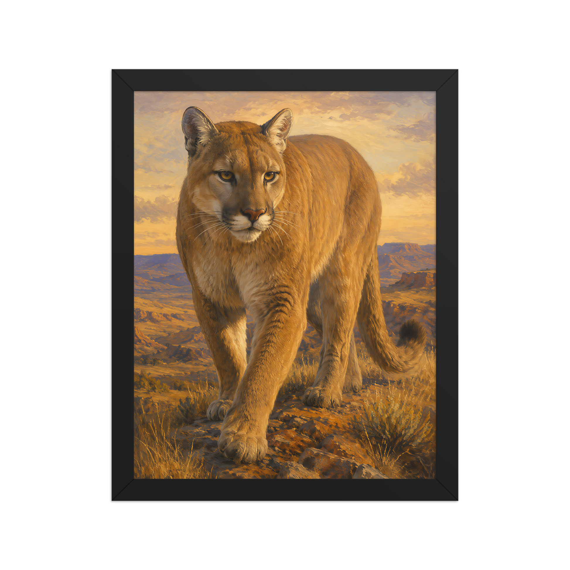 Mountain Lion Desert Pride Framed Poster