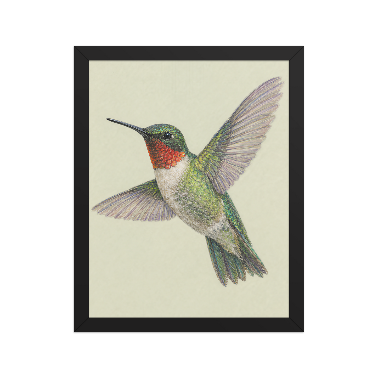 Framed Ruby-throated hummingbird colored pencil illustration print on sage green pastel background, wood frame wall art