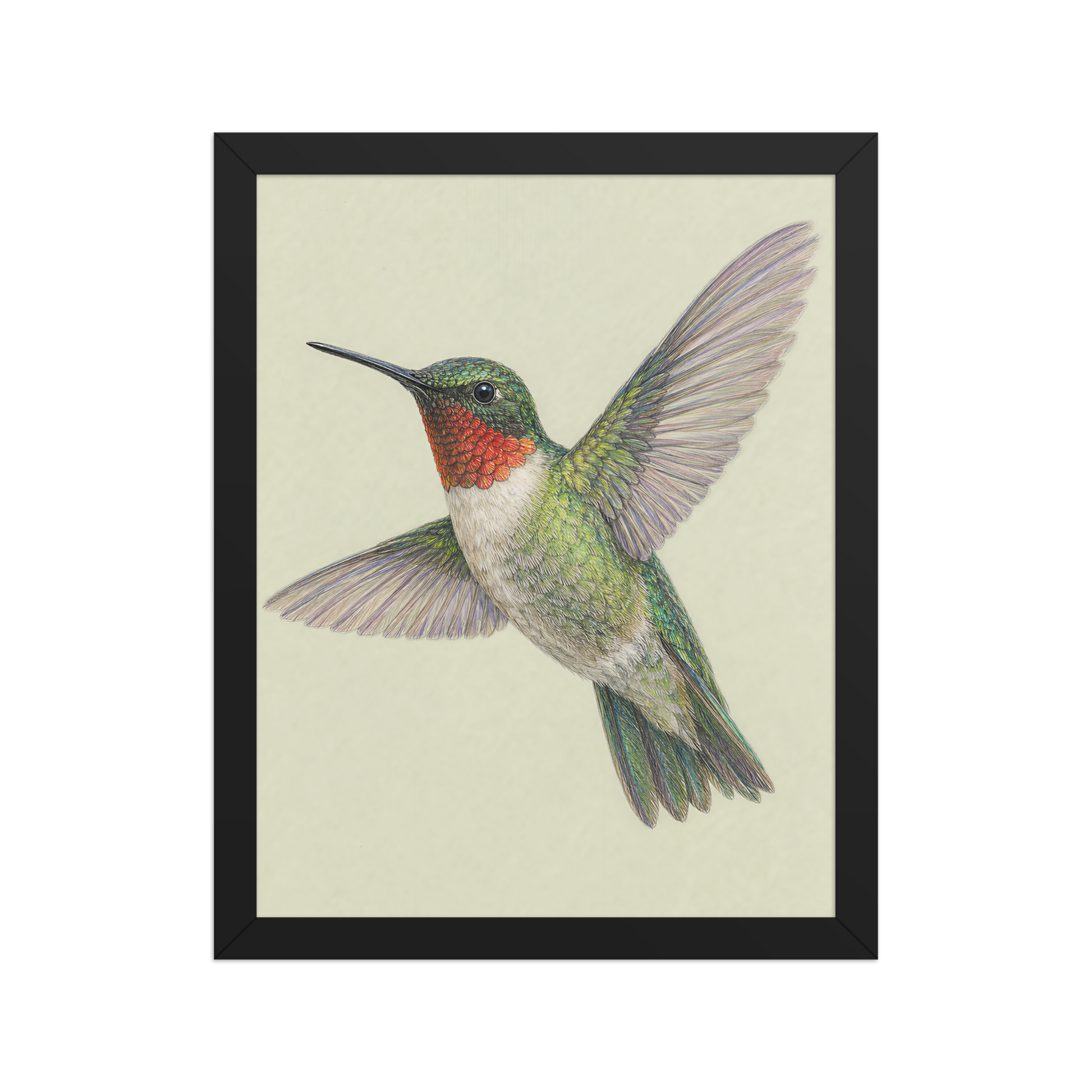Framed Ruby-throated hummingbird colored pencil illustration print on sage green pastel background, wood frame wall art
