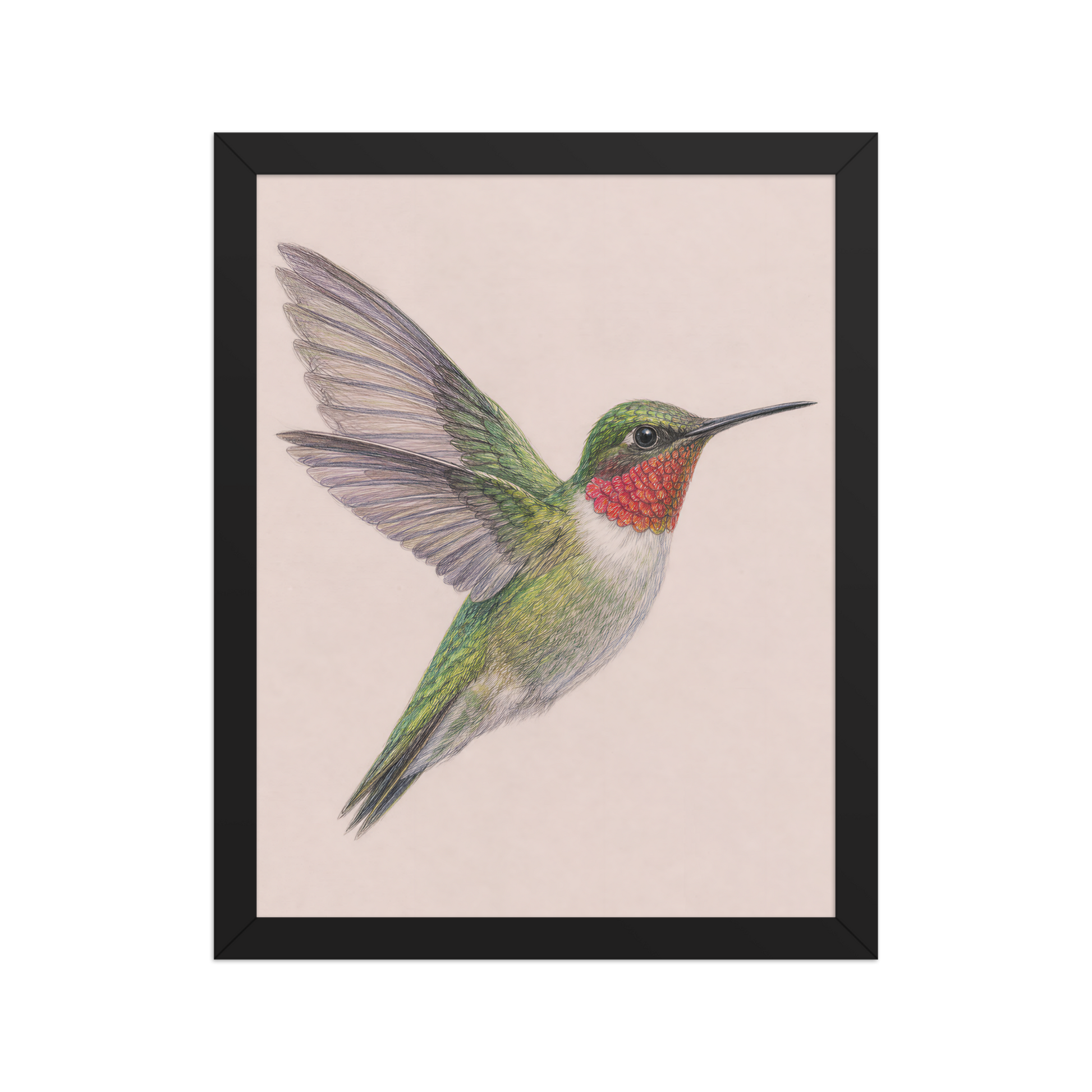 Framed Ruby-throated hummingbird colored pencil illustration print on dusty rose pastel background, wood frame wall art