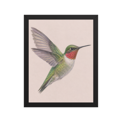 Framed Ruby-throated hummingbird colored pencil illustration print on dusty rose pastel background, wood frame wall art