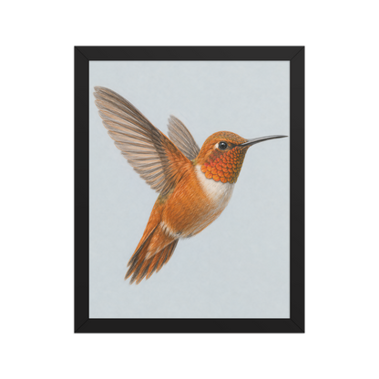 Framed Rufous hummingbird colored pencil illustration print on dusty blue pastel background, wood frame wall art