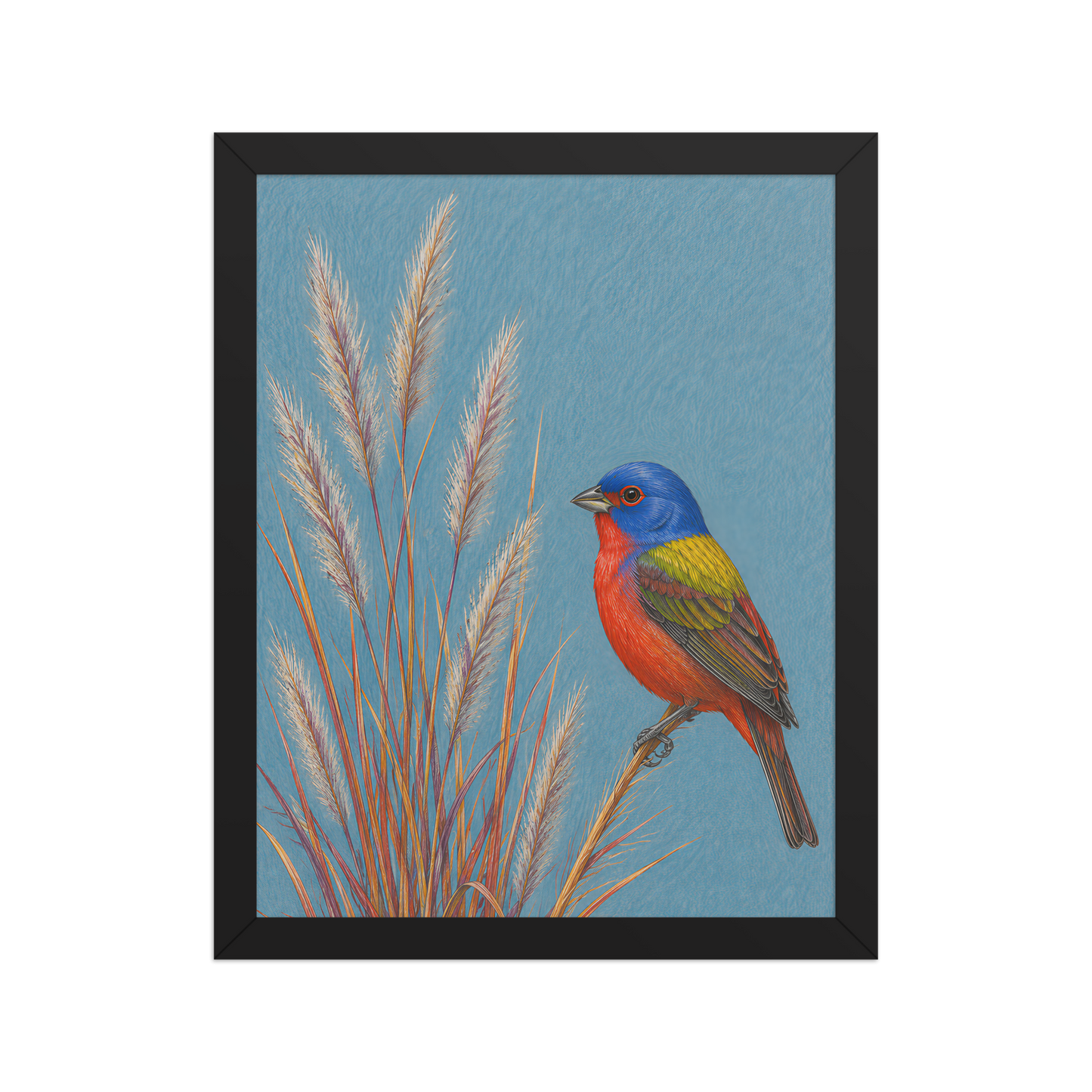 Framed Painted Bunting colored pencil illustration in prairie grass, dusty blue background, wood frame wall art