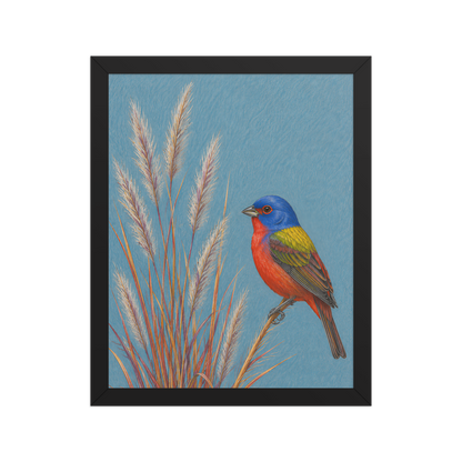 Framed Painted Bunting colored pencil illustration in prairie grass, dusty blue background, wood frame wall art