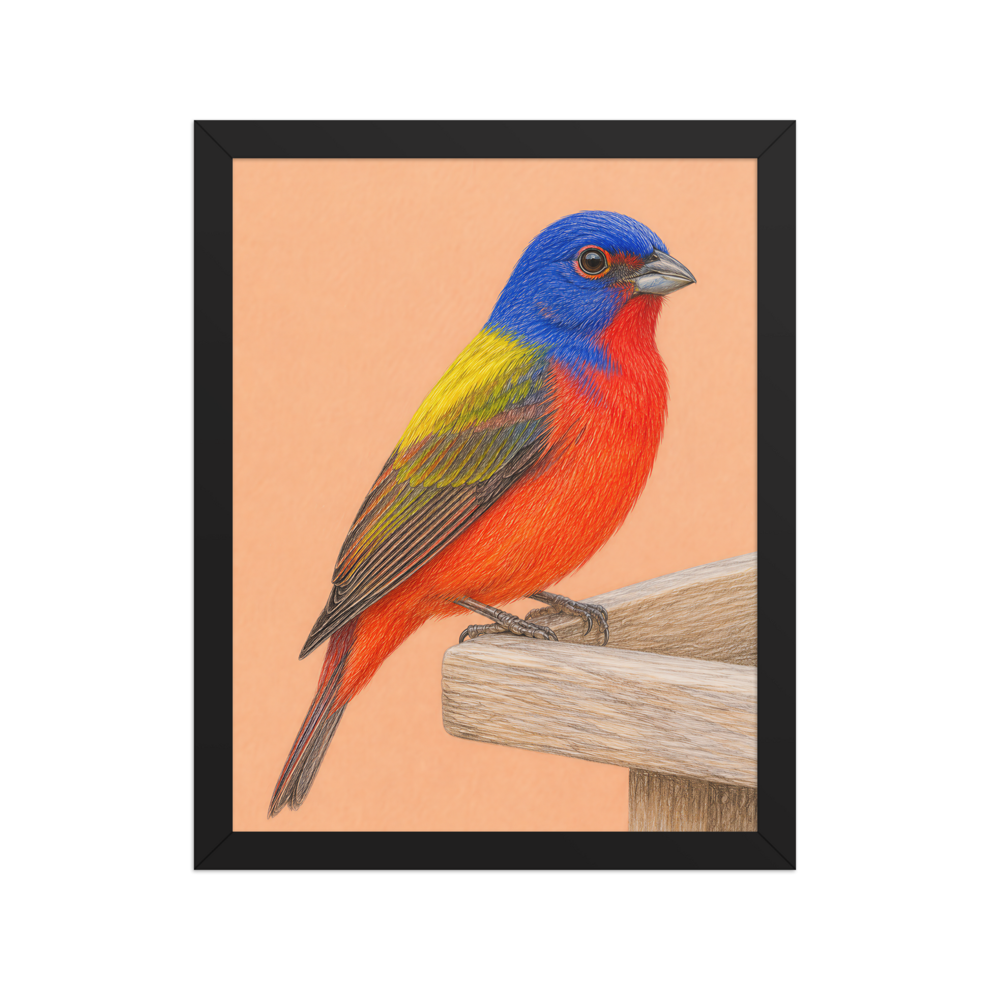 Framed Painted Bunting colored pencil illustration on wooden feeder, apricot background, wood frame wall art