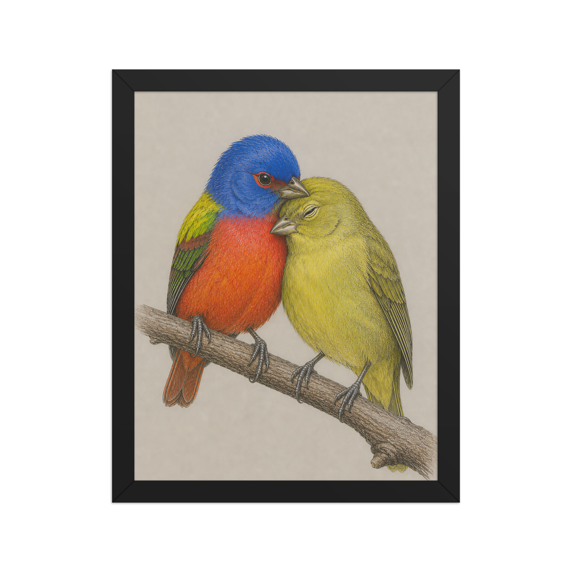 Framed male and female Painted Bunting pair colored pencil illustration, wood frame wall art