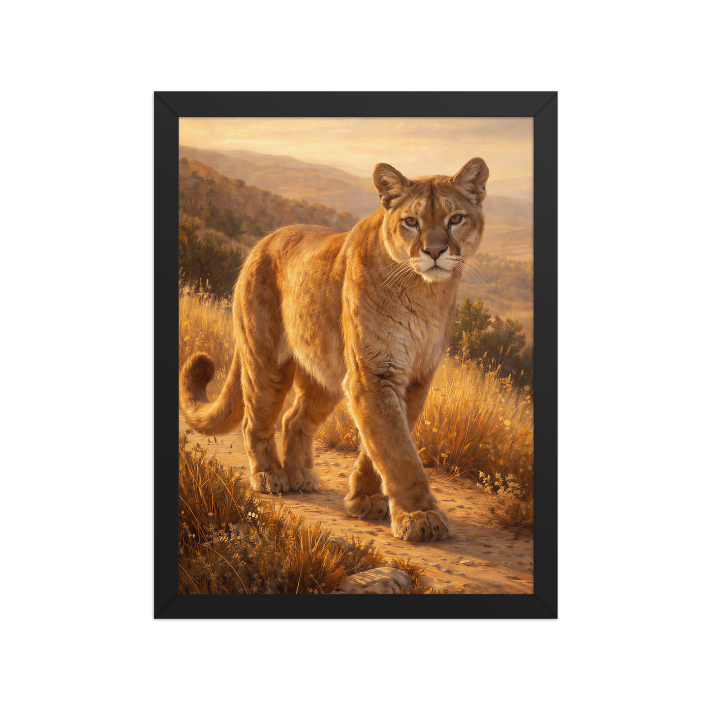 Mountain Lion Pride Framed Poster