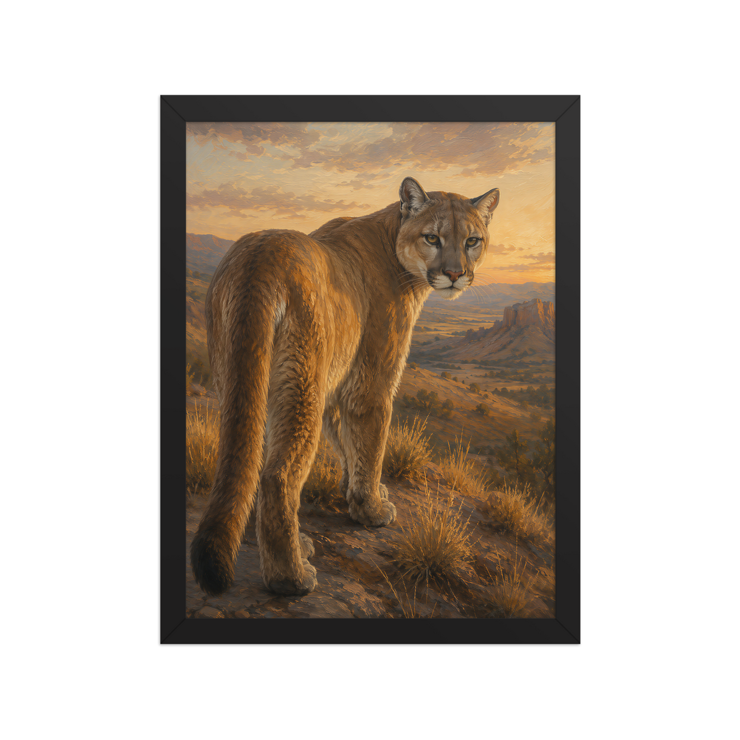 Mountain Lion Sunset Pride Framed Poster