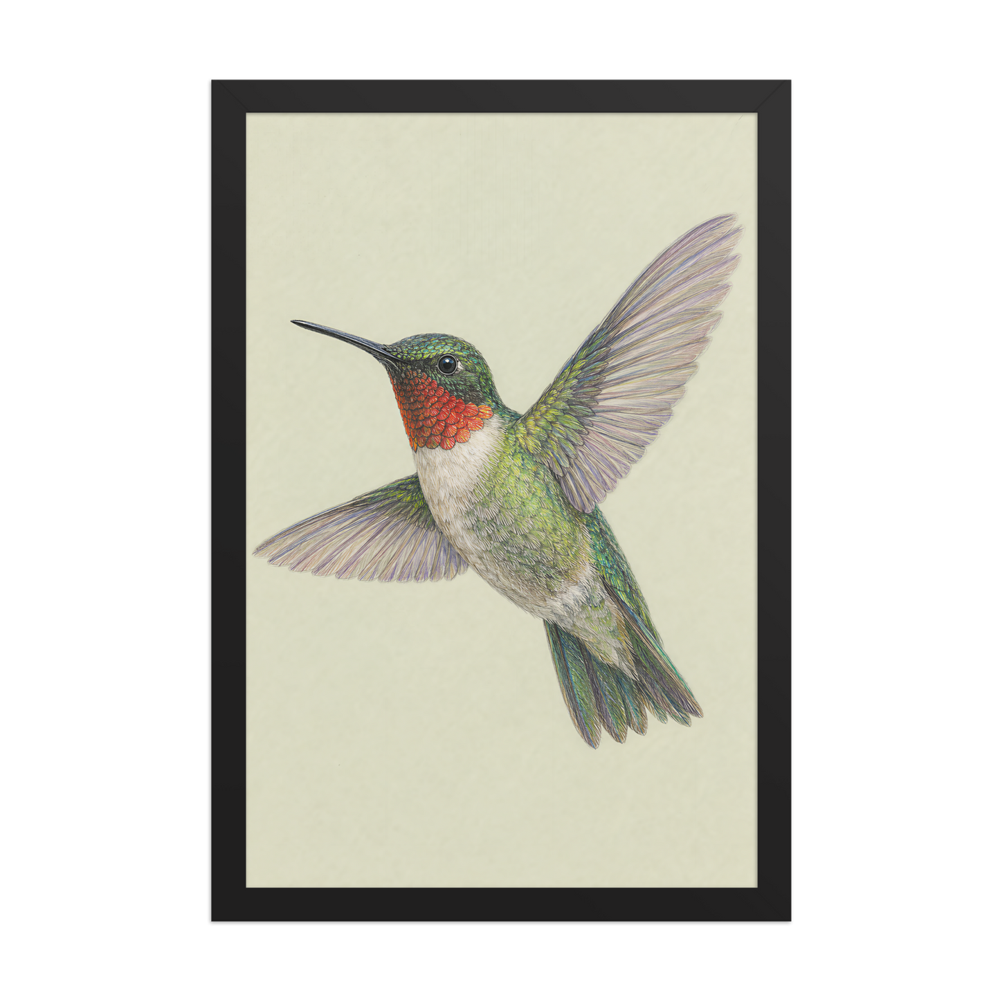 Framed Ruby-throated hummingbird colored pencil illustration print on sage green pastel background, wood frame wall art