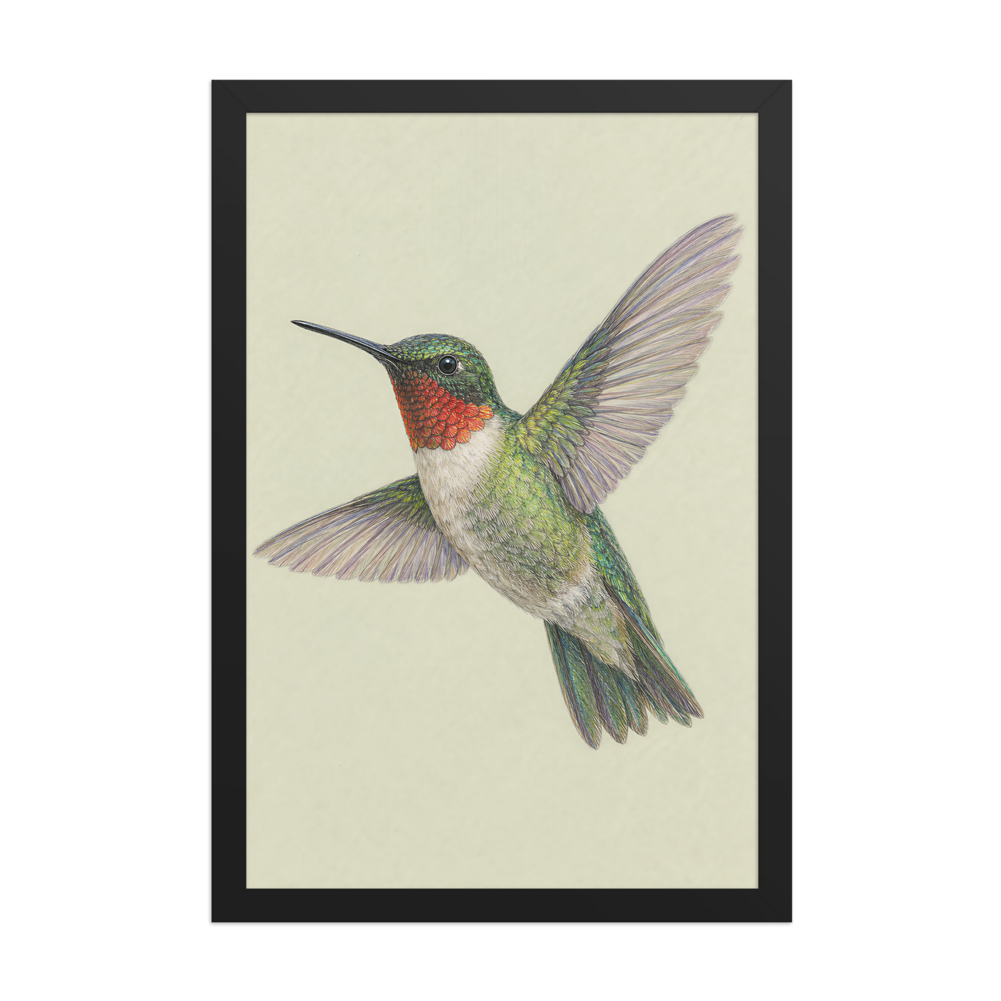 Framed Ruby-throated hummingbird colored pencil illustration print on sage green pastel background, wood frame wall art