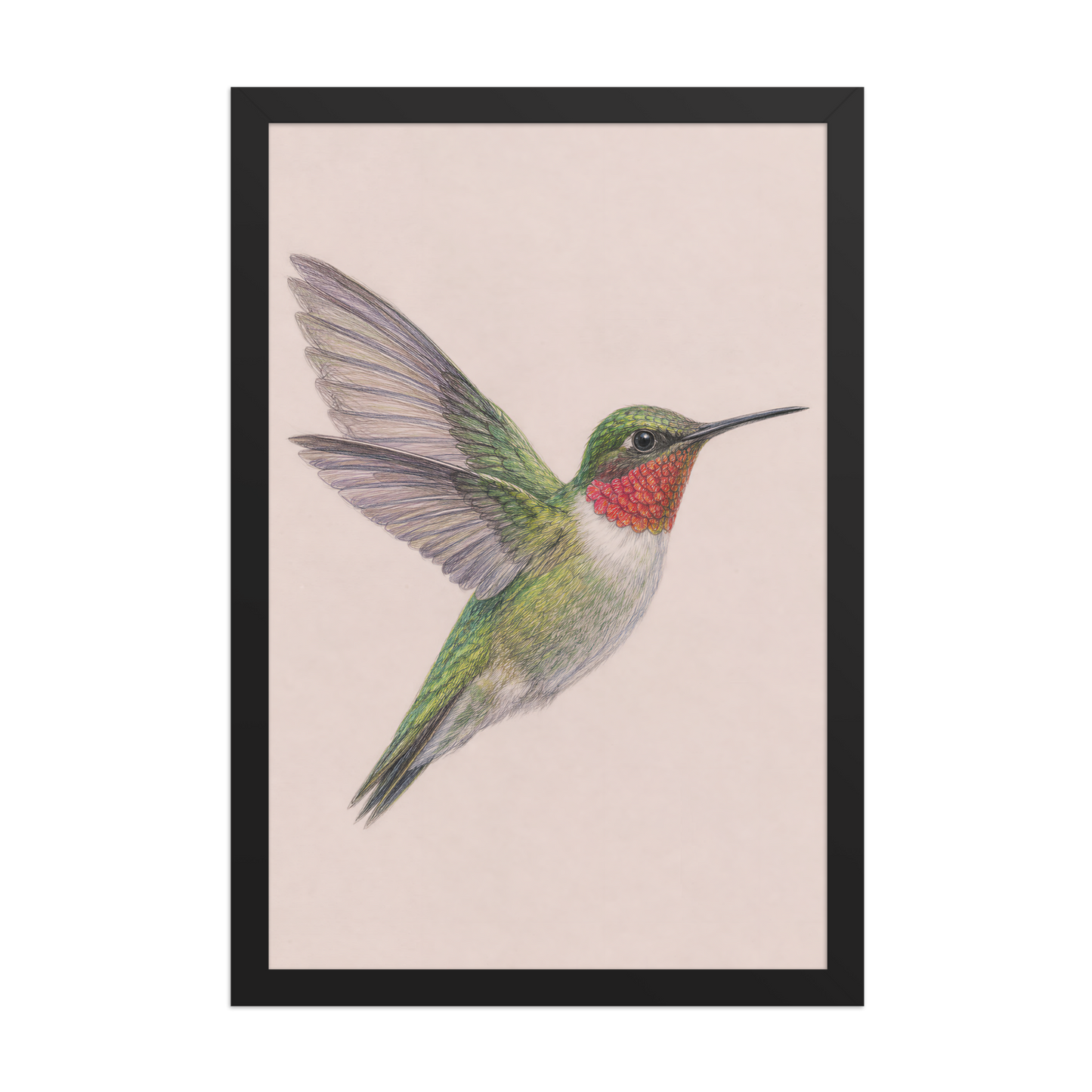 Framed Ruby-throated hummingbird colored pencil illustration print on dusty rose pastel background, wood frame wall art