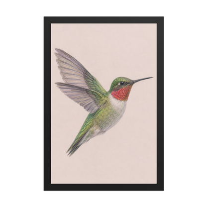 Framed Ruby-throated hummingbird colored pencil illustration print on dusty rose pastel background, wood frame wall art