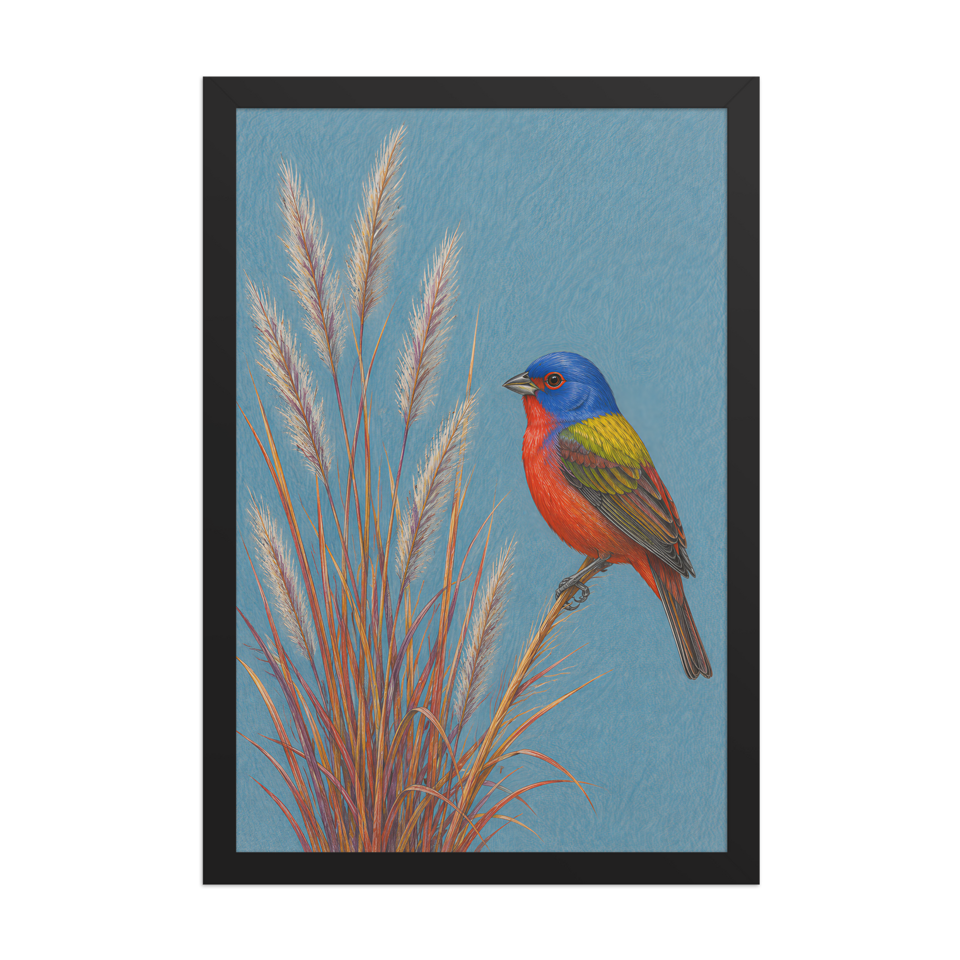 Framed Painted Bunting colored pencil illustration in prairie grass, dusty blue background, wood frame wall art