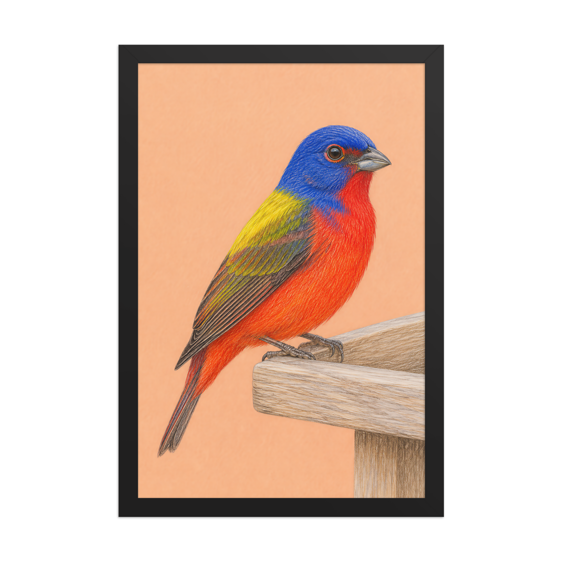 Framed Painted Bunting colored pencil illustration on wooden feeder, apricot background, wood frame wall art
