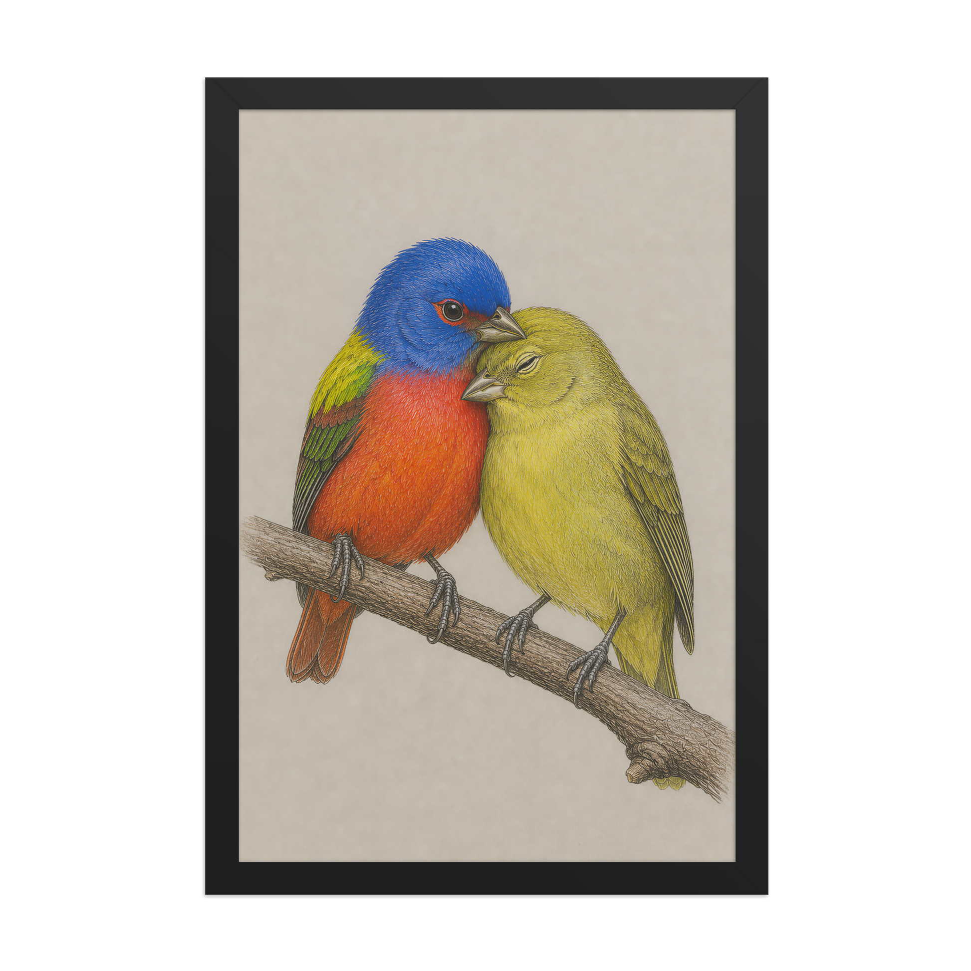 Framed male and female Painted Bunting pair colored pencil illustration, wood frame wall art