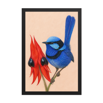Framed Splendid Fairywren blue wren colored pencil illustration, terracotta background, wood frame wall art