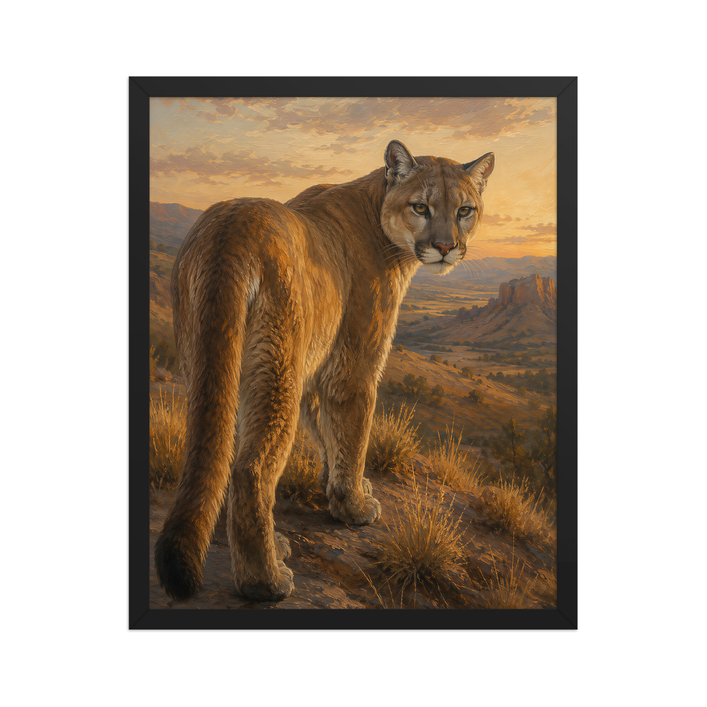 Mountain Lion Sunset Pride Framed Poster