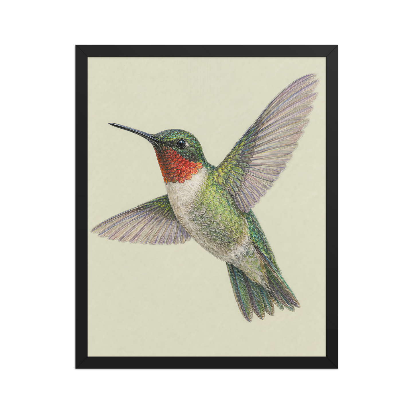 Framed Ruby-throated hummingbird colored pencil illustration print on sage green pastel background, wood frame wall art