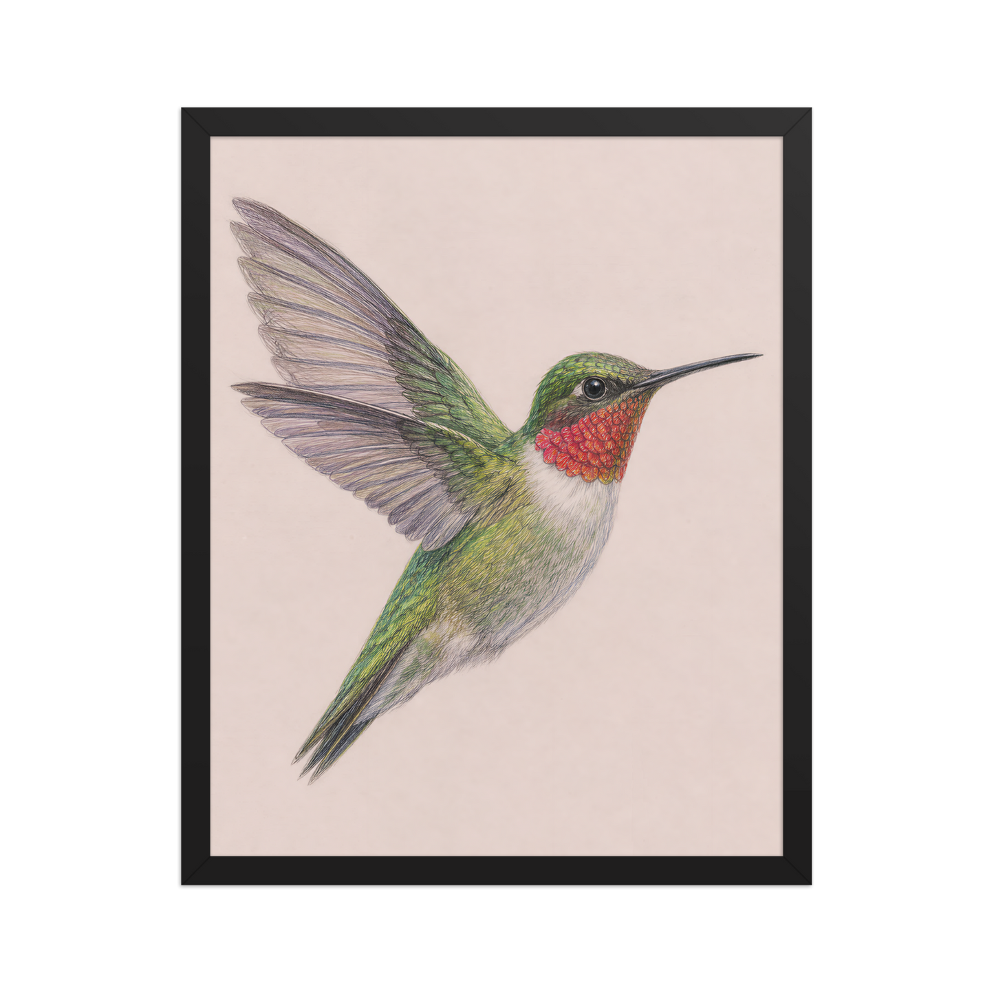Framed Ruby-throated hummingbird colored pencil illustration print on dusty rose pastel background, wood frame wall art