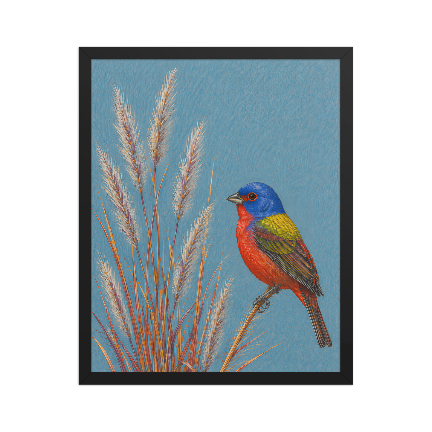 Framed Painted Bunting colored pencil illustration in prairie grass, dusty blue background, wood frame wall art