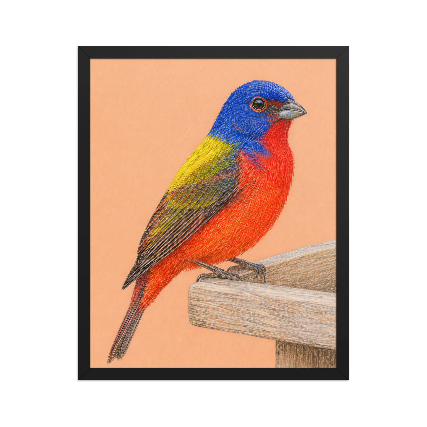 Framed Painted Bunting colored pencil illustration on wooden feeder, apricot background, wood frame wall art
