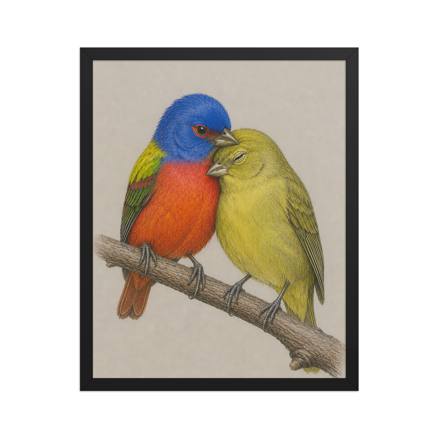 Framed male and female Painted Bunting pair colored pencil illustration, wood frame wall art