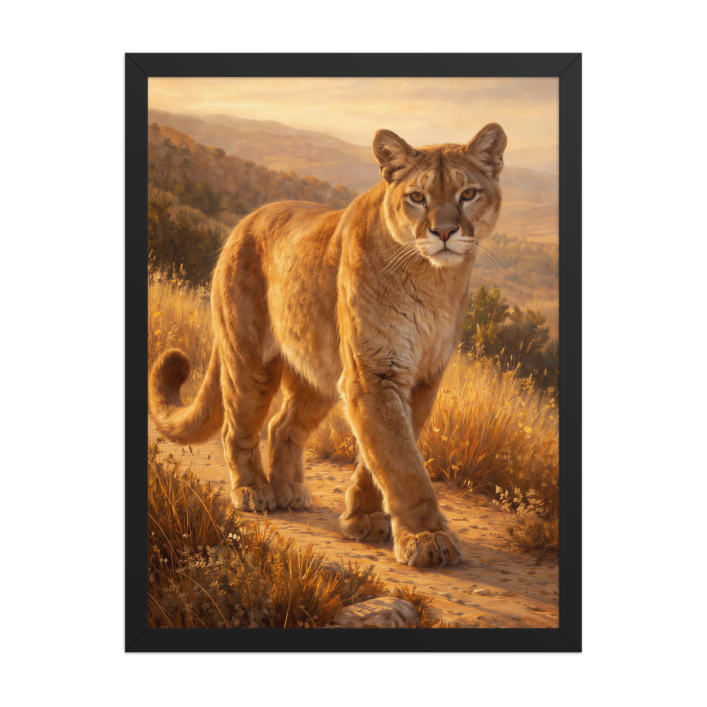 Mountain Lion Pride Framed Poster