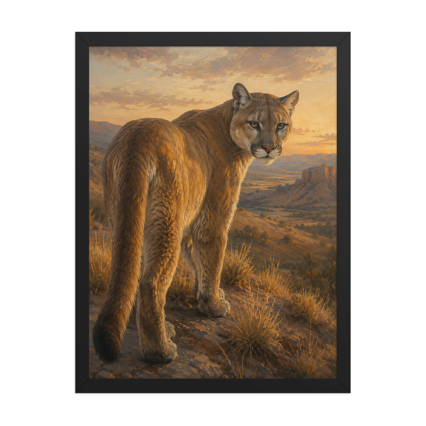 Mountain Lion Sunset Pride Framed Poster