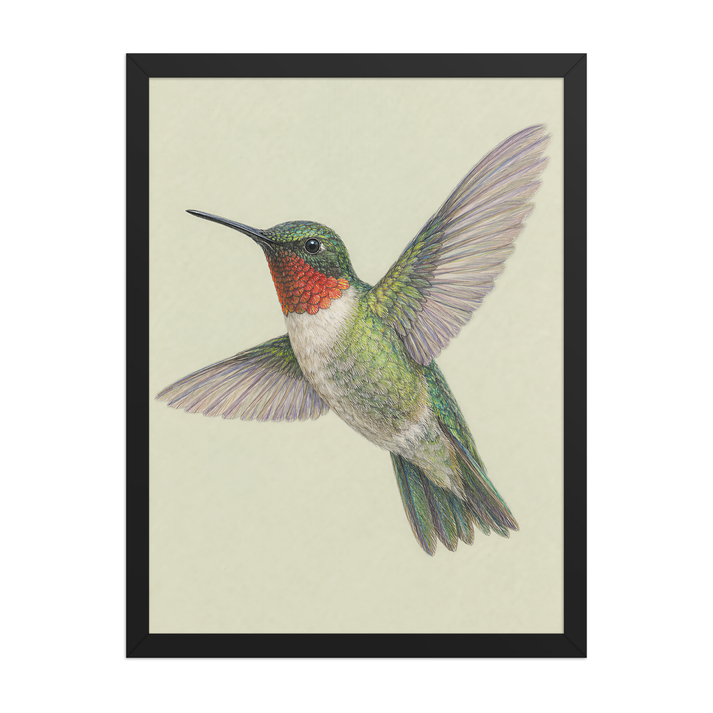 Framed Ruby-throated hummingbird colored pencil illustration print on sage green pastel background, wood frame wall art