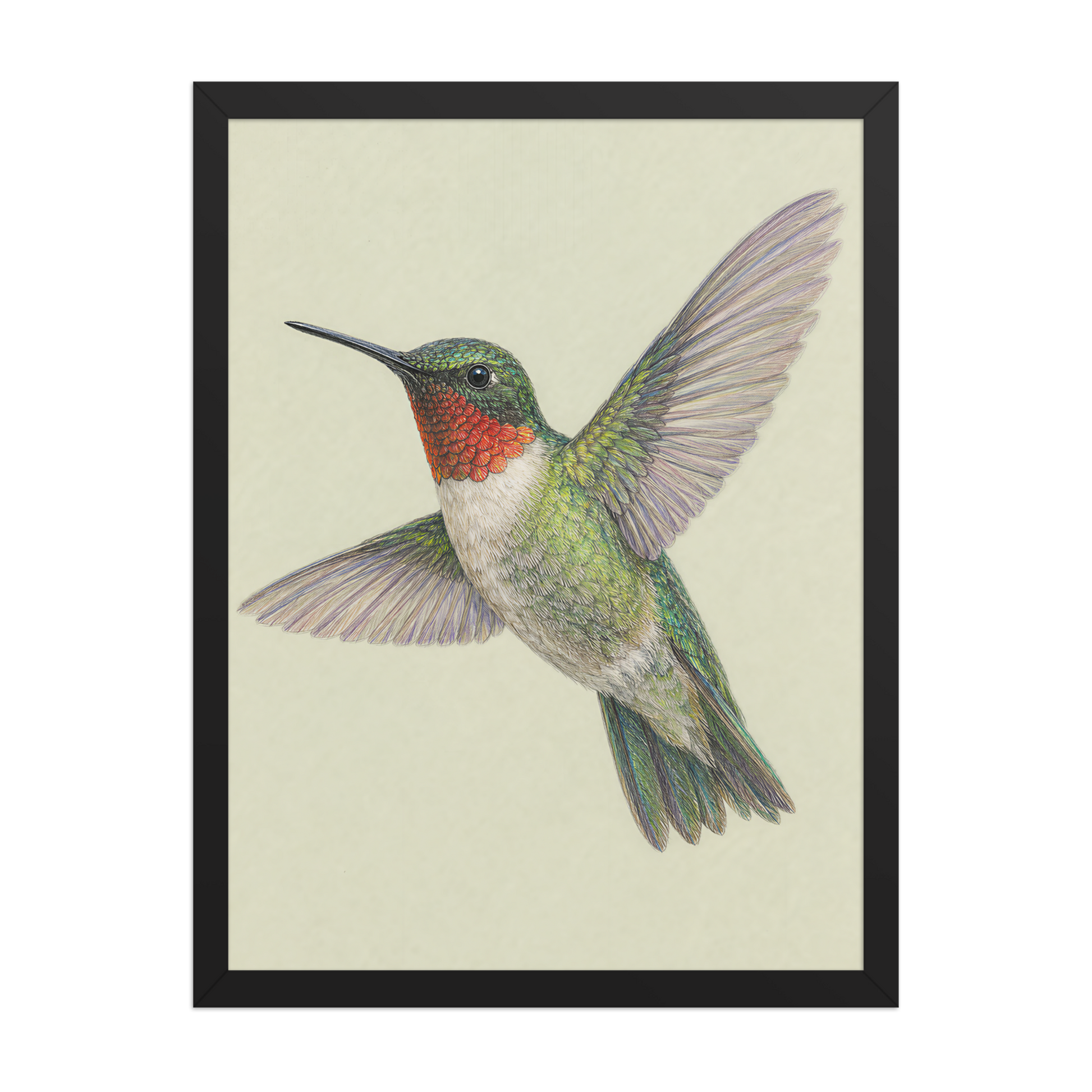 Framed Ruby-throated hummingbird colored pencil illustration print on sage green pastel background, wood frame wall art