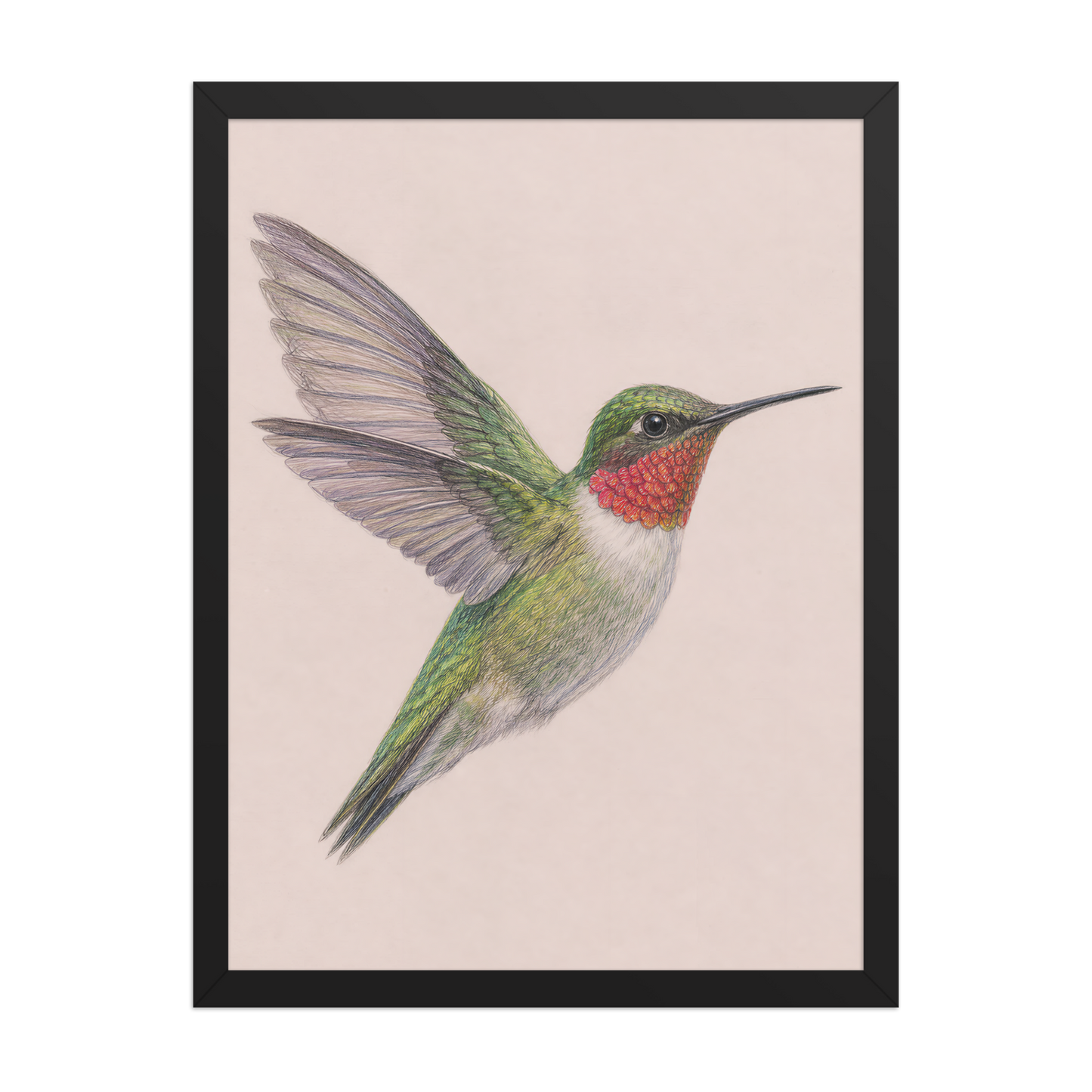 Framed Ruby-throated hummingbird colored pencil illustration print on dusty rose pastel background, wood frame wall art
