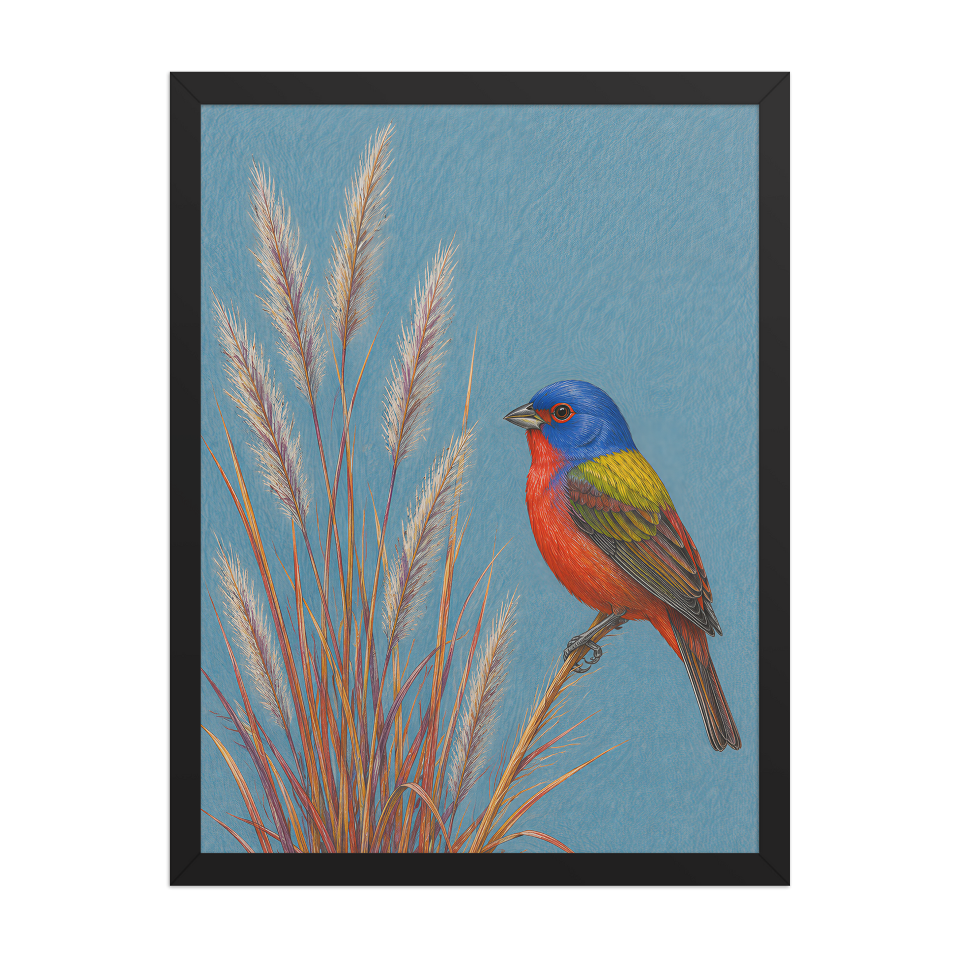 Framed Painted Bunting colored pencil illustration in prairie grass, dusty blue background, wood frame wall art