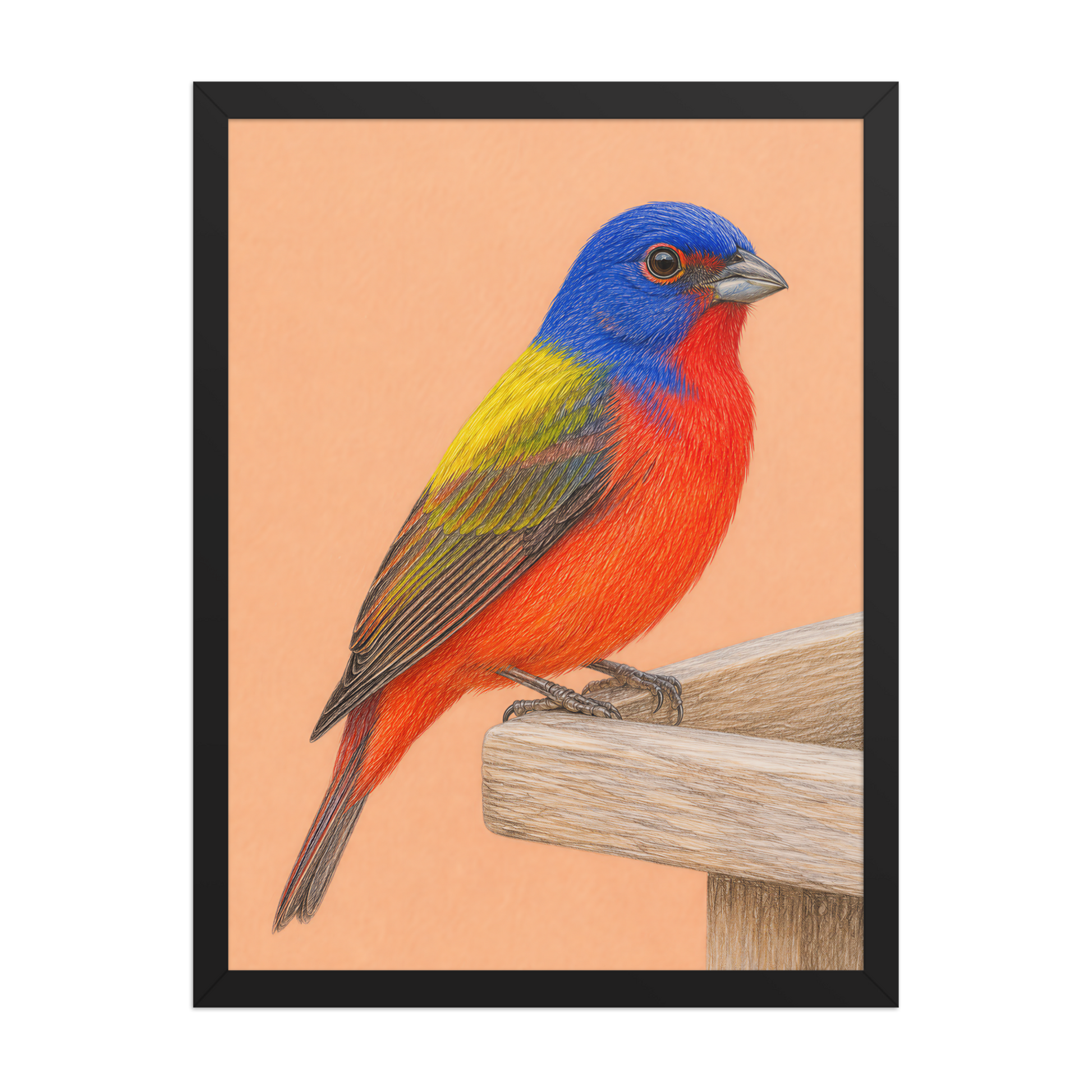 Framed Painted Bunting colored pencil illustration on wooden feeder, apricot background, wood frame wall art