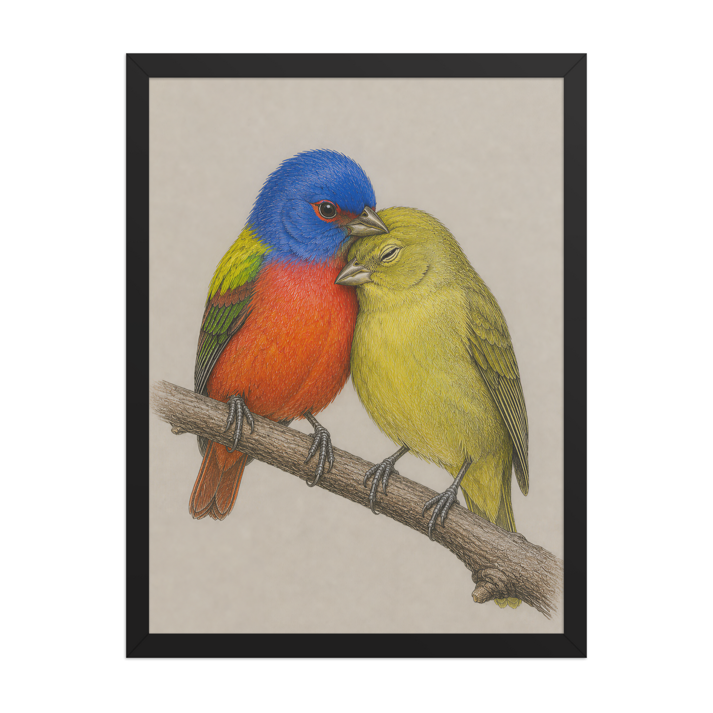 Framed male and female Painted Bunting pair colored pencil illustration, wood frame wall art