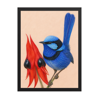 Framed Splendid Fairywren blue wren colored pencil illustration, terracotta background, wood frame wall art