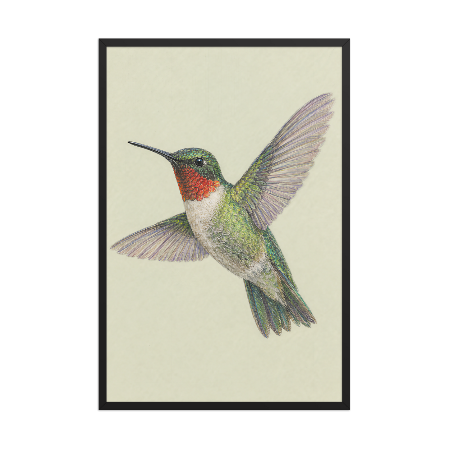 Framed Ruby-throated hummingbird colored pencil illustration print on sage green pastel background, wood frame wall art