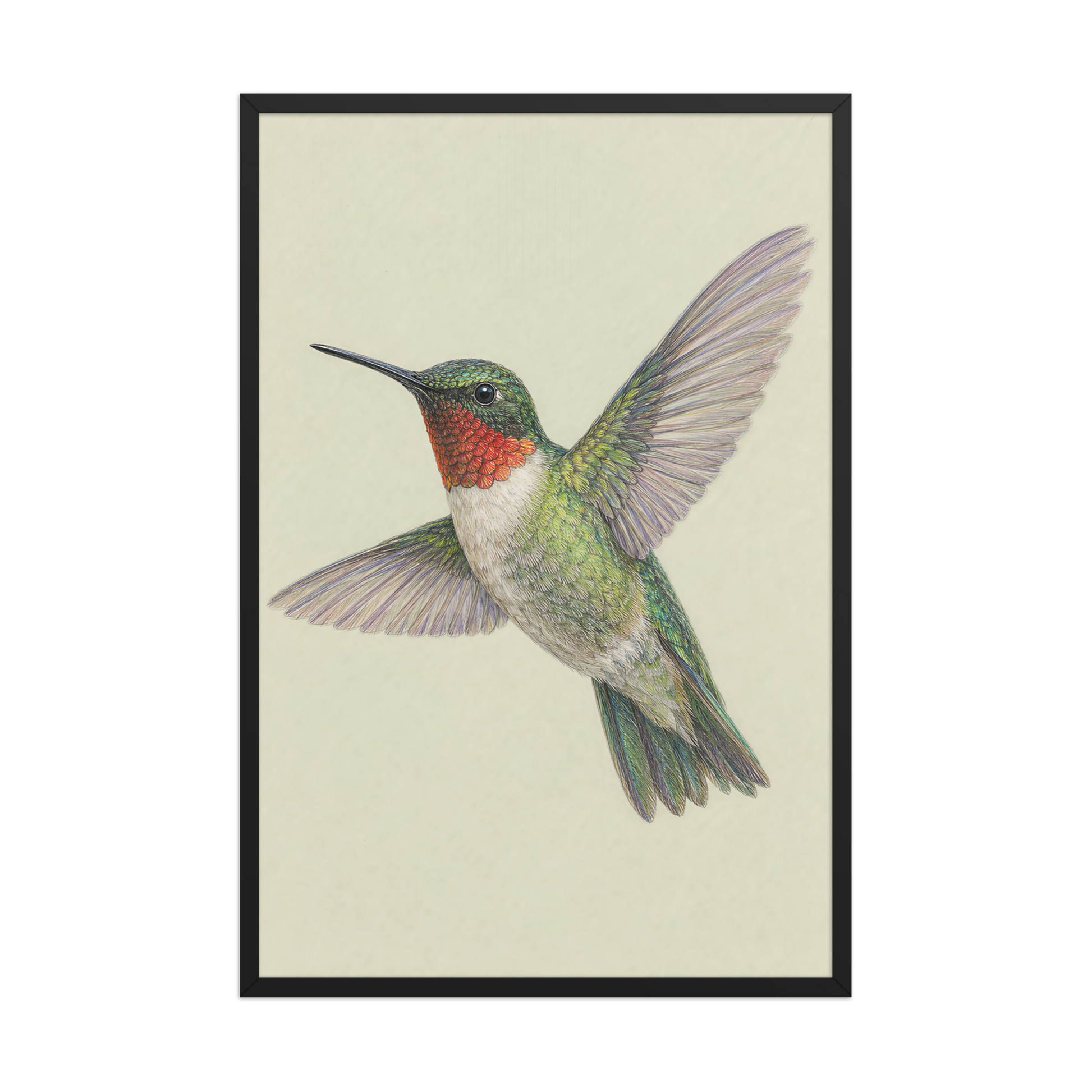 Framed Ruby-throated hummingbird colored pencil illustration print on sage green pastel background, wood frame wall art
