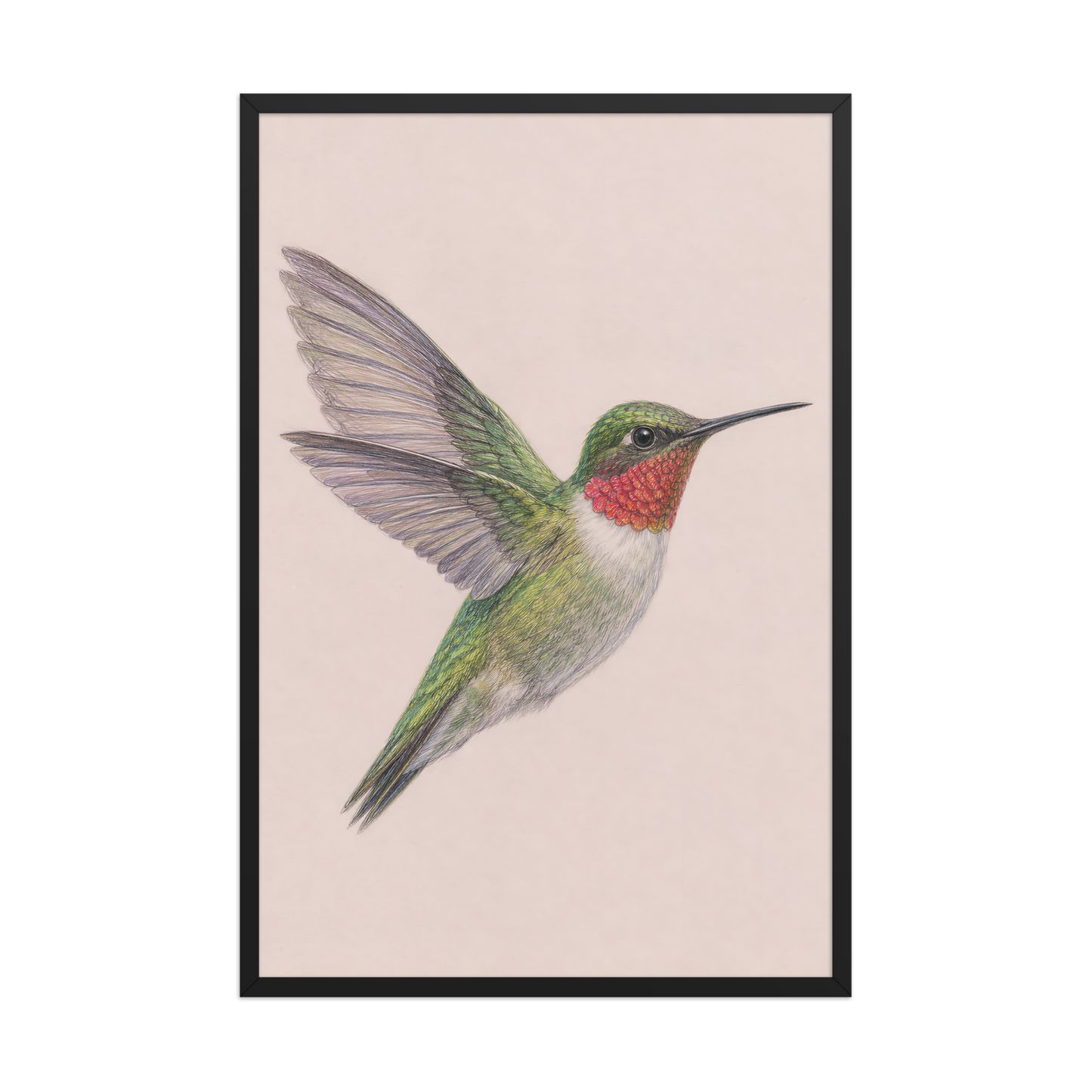 Framed Ruby-throated hummingbird colored pencil illustration print on dusty rose pastel background, wood frame wall art