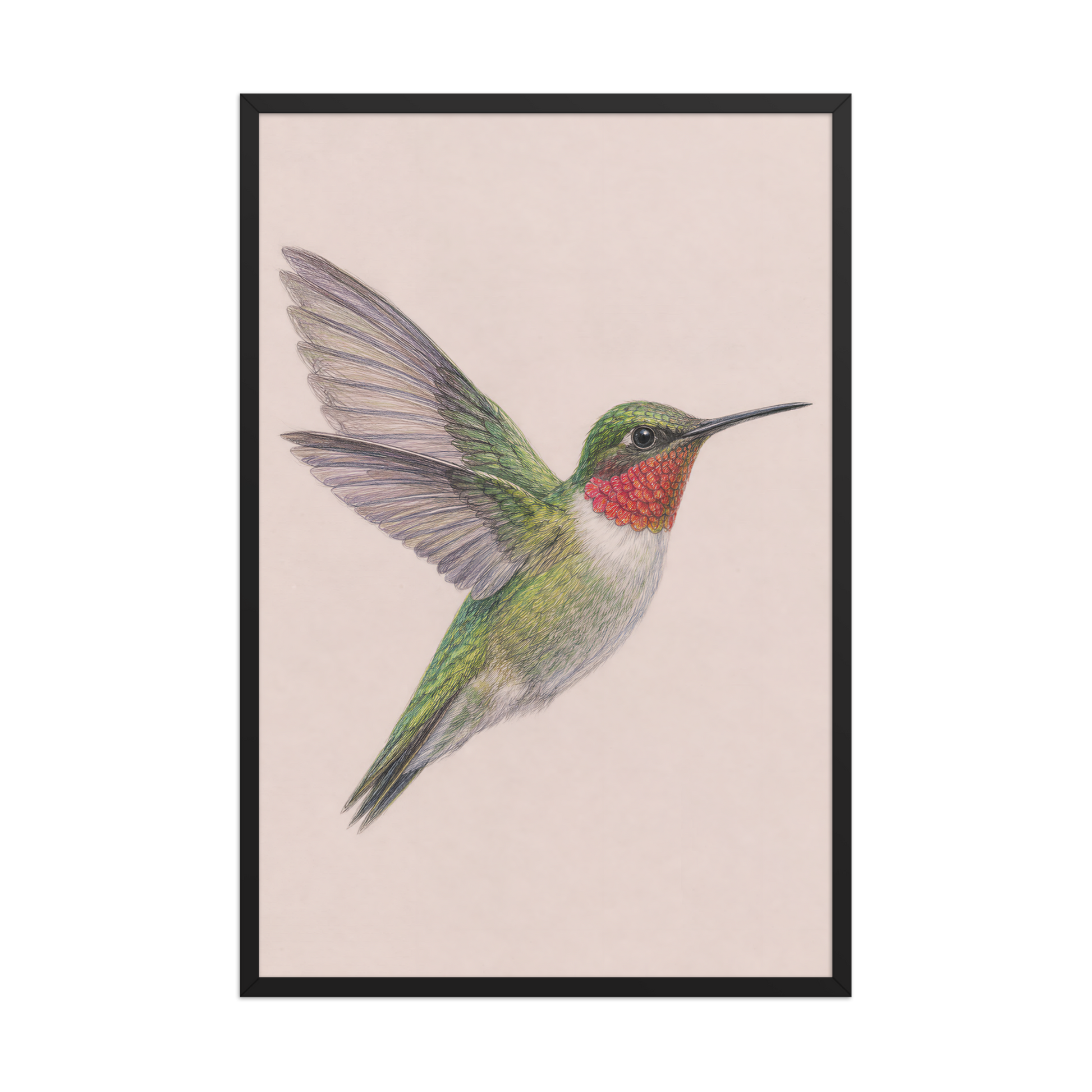 Framed Ruby-throated hummingbird colored pencil illustration print on dusty rose pastel background, wood frame wall art