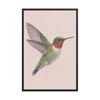 Framed Ruby-throated hummingbird colored pencil illustration print on dusty rose pastel background, wood frame wall art