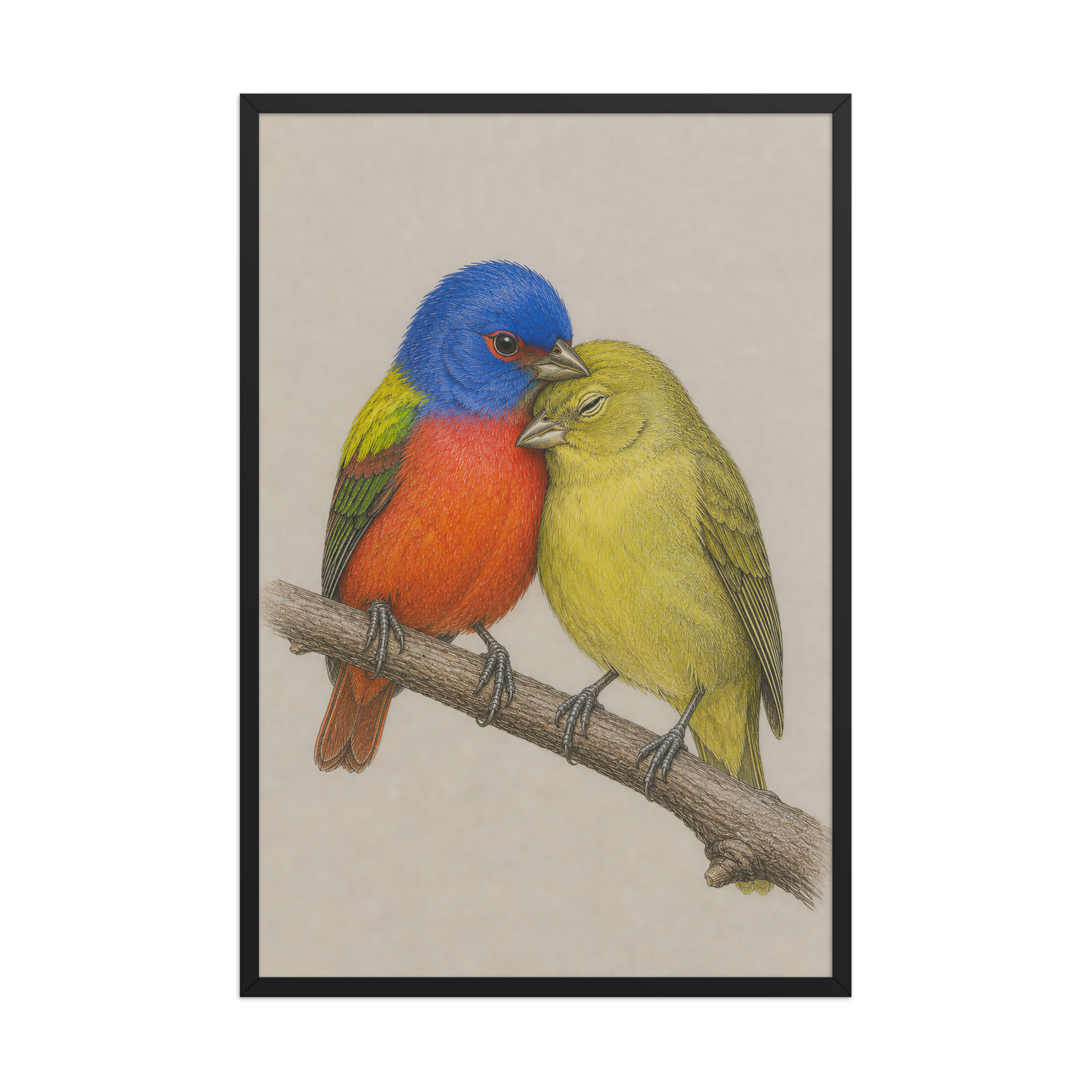 Framed male and female Painted Bunting pair colored pencil illustration, wood frame wall art