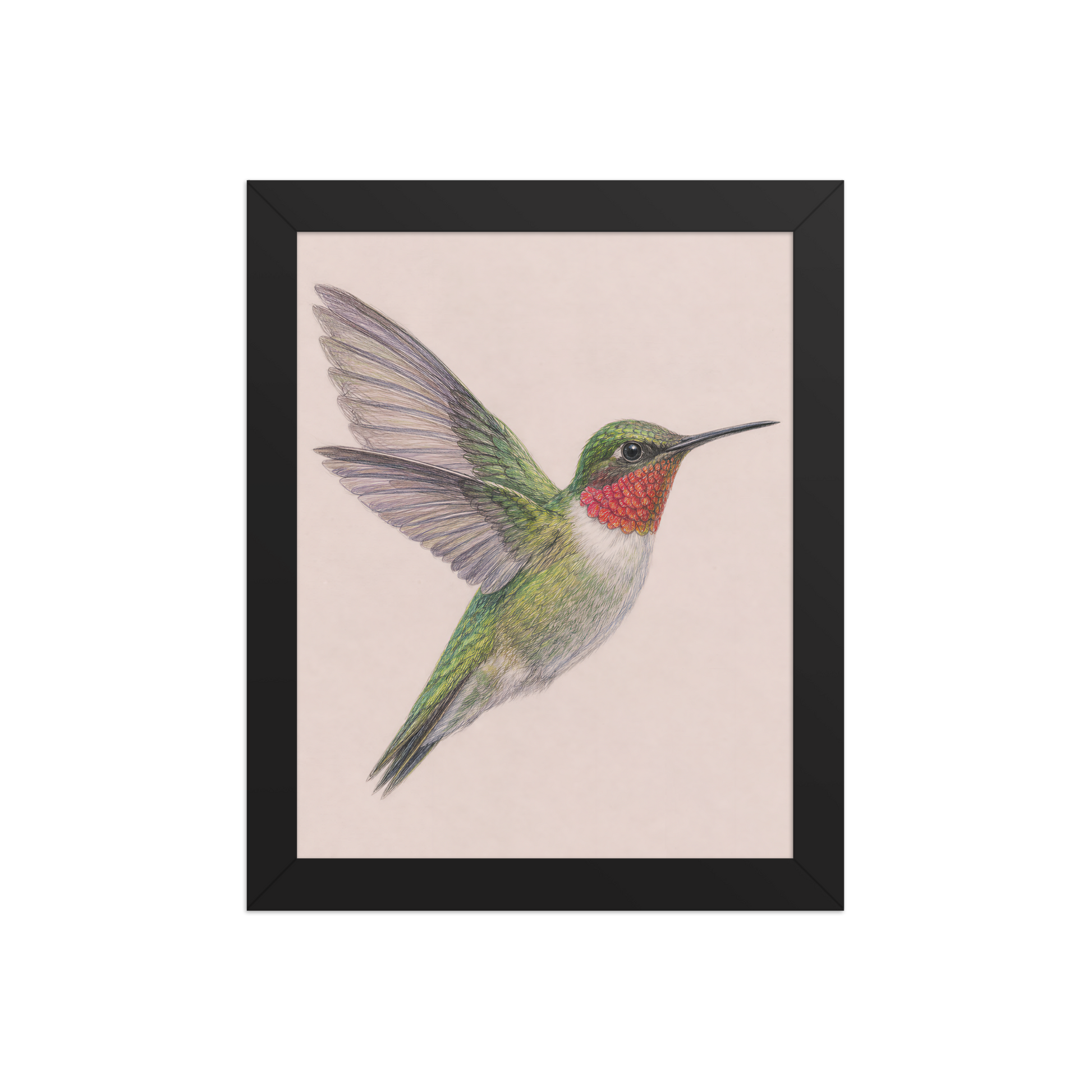 Framed Ruby-throated hummingbird colored pencil illustration print on dusty rose pastel background, wood frame wall art