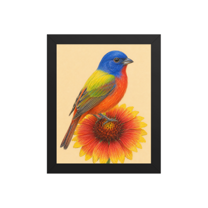 Framed Painted Bunting colored pencil illustration on Indian Blanket flower, wood frame wall art